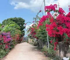 Cơ hội sở hữu nhà mái thái tại Mộc Châu giá rẻ, nhà mới xây, Gần trung tâm du lịch Mộc Châu.