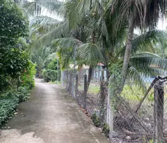 Cần bán đất An Sơn 15x32m, cách Vành Đai 3 chỉ 500m