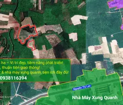 BÁN ĐẤT 9,8HA TÂY NINH – GIÁ CHỈ 31 TỶ, CƠ HỘI ĐẦU TƯ SINH LỜI!