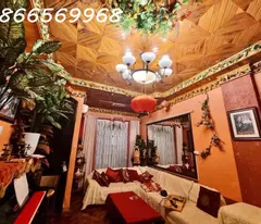 PHÂN LÔ 50/60M x 6T, VỈA HÈ Ô TÔ TRÁNH, SIÊU KINH DOANH, TRẦN QUỐC HOÀN, CẦU GIẤY, 16 TỶ