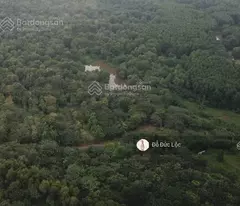 BÁN GẤP 110.000M2 ĐẤT THỔ CƯ NGUYỄN XIỂN - QUẬN 9 - GIÁ 210 TỶ