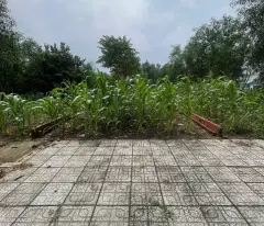Bán đất Long Thọ, 125m², full thổ cư, mặt tiền đường lớn, 1/ Hùng Vương – Giá 3,2 tỷ
