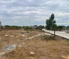 Bán gấp 6m x 43m đất ONT Tân Phước - TX LaGi giá chỉ 1.2 tỷ sổ riêng gần 577