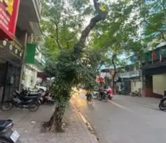 Nhà mặt phố Lê Văn Linh Hàng Mã