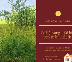 Bán Đất Mặt Tiền Đẹp 350m2 Vuông Vắn 10.5 tỷ Xuân Thới Đông Hóc Môn