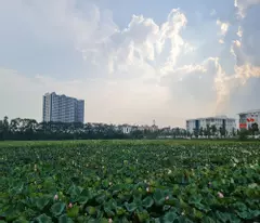 Đáo hạn vốn kinh doanh nên BÁN GẤP căn biệt thự đơn lập tại Đa Tốn, Gia Lâm. 200m2. Lh 0989894845