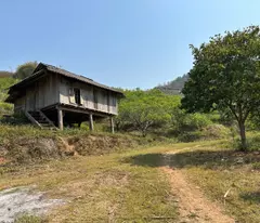 Đất đồi trồng Mận tại Mộc Châu cần bán, diện tích 3 héc ta gần trung tâm du lịch, giá đầu tư.