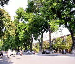 Kim Mã, Ba Đình, ngõ thông, kinh doanh, 53m2, chỉ 9 tỷ