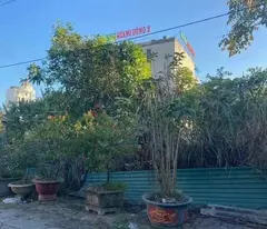 Chính chủ cần bán đất biệt thự Cẩm Bình-Cẩm Phả giá cắt lỗ