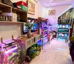 Hẻm Ôtô, Vew City,  Nhà 4 Tầng, Gần Nguyễn Thị Thập Q7, 56M2, Chỉ 6.8Tỷ.