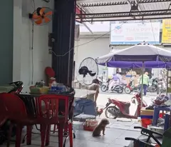 MẶT TIỀN KINH DOANH SẦM UẤT ĐƯỜNG TÂN HƯƠNG QUẬN TÂN PHÚ, 2 TẦNG 4X14 CHỈ 10.5 Tỷ