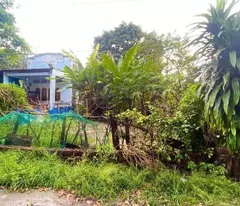 Bán đất Phú Thạnh, 201m², 70m² thổ cư, hẻm 1/ Lý Thái Tổ, đường bê tông xe tải – Giá 1,8 tỷ