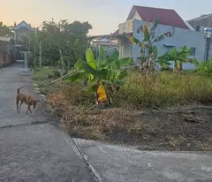 Bán đất Vĩnh Thanh, 182.5m2, có 75m2 thổ, cách Hùng Vương 100m – Giá 1.6tỷ