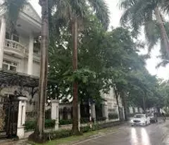 Bán biệt thự khu C5 Ciputra  217m2 sau nhà là Hồ điều hòa và công viên rộng 60ha