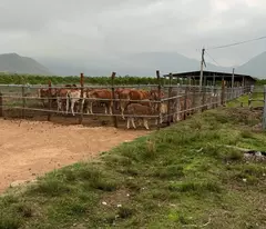 bán 14 ha. Đất tại xã Quãng Sơn - huyện Ninh Sơn. Ninh Thuận
0938974428