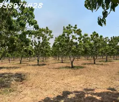 bán 14 ha. Đất tại xã Quãng Sơn - huyện Ninh Sơn. Ninh Thuận
0938974428