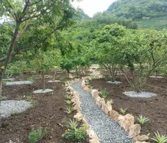 715m2 đất Thổ Cư tại tiểu khu Bó Bun thị xã Mộc Châu cần bán. Đất nở hậu vị trí đẹp. Phù hợp làm