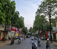 123m2 3 mặt tiền phố kinh doanh sầm uất rộng 16m  tại Trâu Quỳ, Gia Lâm. Lh 0989894845