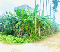 🔥CƠ HỘI ĐẦU TƯ SINH LỜI - ĐẤT ĐẸP THANH AN, ĐIỆN HỒNG🔥