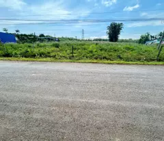 BÁN GẤP 1.259M2(25X50) SỔ RIÊNG THỔ CƯ NGAY BECAMEX TX CHƠN THÀNH GIÁ 522 TRIỆU