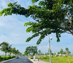 Bán Đất Nền King Hill, đối diện Eco Retreat 220ha - Long An, Giá từ 2.2Tỷ, Ck tới 12%. sổ sẵn từng