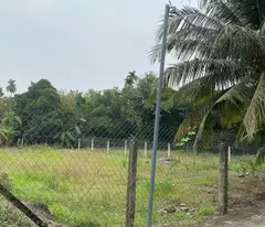 Chính Chủ Bán Đất An Sơn 32 – Vị Trí Đẹp, Gần Vành Đai 3 Chỉ 500m