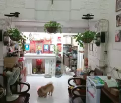 Bán nhà MT 51m2 Tùng Thiên Vương 4 tầng 3pn  phường 11 quận 8 chỉ 7 tỷ