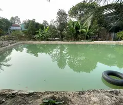 BÁN XƯỞNG MỚI, KIÊN CỐ ĐƯỜNG NGUYỄN THỊ RÀNH, CỦ CHI, 2,220 M2 ĐẤT - CÓ NHÀ CẤP 4 PHÍA SAU, VƯỜN