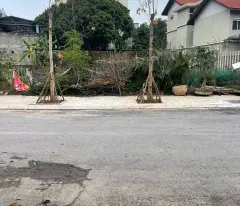 Bán đất Biệt Thự KĐT chùa Hà Tiên, giá tốt 9,9 tỷ, 336 m2 Vĩnh Yên, Vĩnh Phúc