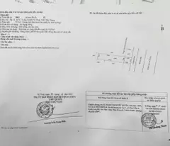 Cần bán gấp nhà và nhà tại chợ Vị Trung, huyện Vị Thuỷ, tỉnh Hậu Giang (có 83m thổ cư). Giá: 1tỷ