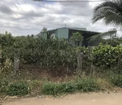 Bán Đất tại Thị trấn Ea T'ling, 2,1 tỷ, 1500 m2, giá siêu hời chỉ với cơ hội đầu tư tuyệt vời
