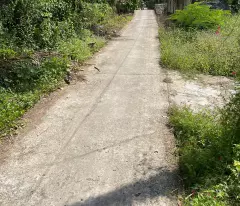 Cần bán gấp đất và nhà tại Vĩnh Hoà Hưng Bắc, Gò Quao, Kiên Giang (có 400m2 thổ cư). Giá: 3tỷ350