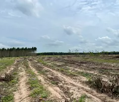 GIẢM KỊCH SẢN! Chỉ 450 triệu có 1000m2 đất Tân Bình - TX  LaGi 2 mặt đường xe hơi sổ riêng