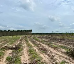 GIẢM KỊCH SẢN! Chỉ 450 triệu có 1000m2 đất Tân Bình - TX  LaGi 2 mặt đường xe hơi sổ riêng