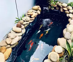 🏡 BÁN NHÀ 2 TẦNG MẶT TIỀN – KQH BÀU VÁ, THỦY XUÂN, HUẾ 🚗 Chỉ 3,X Tỷ – FULL NỘI THẤT
