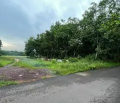 BÁN ĐẤT KHO BAI 1,8 ha  SIÊU RẺ MẶT TIỀN ĐƯỜNG NHỰA XÃ AN VIỄN . TRẢNG BOM . 0938974428