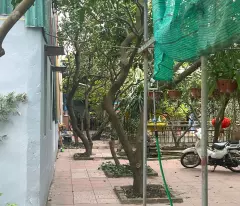 Chính chủ cho thuê kho xưởng Đông La, Hoài Đức. Xưởng rộng 200m2, kèm nhà 40m2, giá thuê chỉ 8tr/th