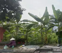P lô¸ Bán nền, Long Phước, Thủ Đức, DT 50m2 ( 4 x 13 ) Giá mềm¸ chỉ 2ty Hơn
