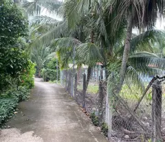 Bán nhanh đất An Sơn 32 – Gần sông Sài Gòn – Không khí thoáng mát, giá tốt! Liên hệ: 0947 914 116