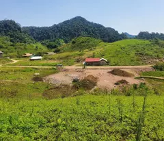 Chính chủ cần sang nhượng mảnh đất hơn 2 héc ta tại Tà Số Mộc Châu, giá chưa đến 600 ngàn/1m2.