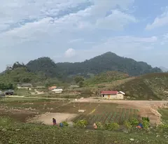 Chính chủ cần sang nhượng mảnh đất hơn 2 héc ta tại Tà Số Mộc Châu, giá chưa đến 600 ngàn/1m2.