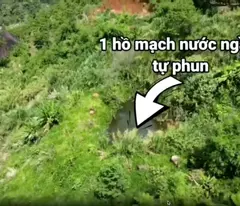 ✨PHẢI NHANH MỚI KỊP ✨ Đất lâm nghiệp làm khu sinh thái Lâm Đồng 72ha 45 tỷ có đàm phán