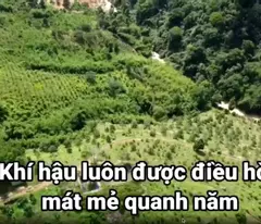 ✨PHẢI NHANH MỚI KỊP ✨ Đất lâm nghiệp làm khu sinh thái Lâm Đồng 72ha 45 tỷ có đàm phán