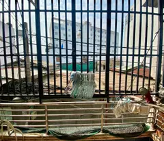 Bán nhà riêng 30m2 2 tầng Âu Dương Lân 2pn phường 2 quận 8 chỉ nhỉnh 3 tỷ
