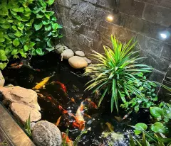 🌼🌹NHÀ ĐẸP 2 TẦNG MỚI TINH +KHO XƯỞNG -THỚI TAM THÔN HÓC MÔN-HẺM  NHỰA 7M- NGANG BỀ THẾ 10M -