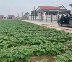 ☎️ Chính chủ cần sang nhượng lô đất 94m2 nằm ngay sát mặt biển sẵn thổ cư sổ đỏ sổ hồng rõ ràng