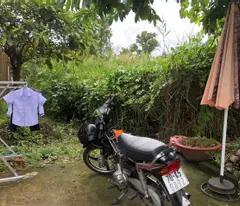 Cần bán gấp 02 nền liền kề full thổ cư, sổ hồng riêng tại chợ Hoả Lựu, TP. Vị Thanh, tỉnh Hậu
