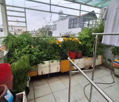 Hẻm xe hơi, 4 tầng, mặt tiền hẻm kinh doanh, 54m2, 119 Nguyễn Thị Thập, Tân Phú Quận 7-Giá 8 tỷ