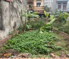 BÁN NHANH 79M ĐẤT KHÊ NỮ, NGUYÊN KHÊ, ĐÔNG ANH. MẶT TIỀN 4,5M. GIÁ 4.335 TỶ