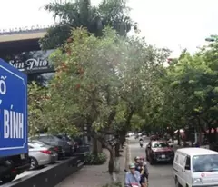 Bán Nhà Phố Phan Kế Bính  -Cống Vị  5 Tầng